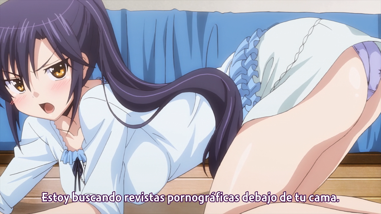 Okusama ga Seitokaichou!+! (Hoshizora)